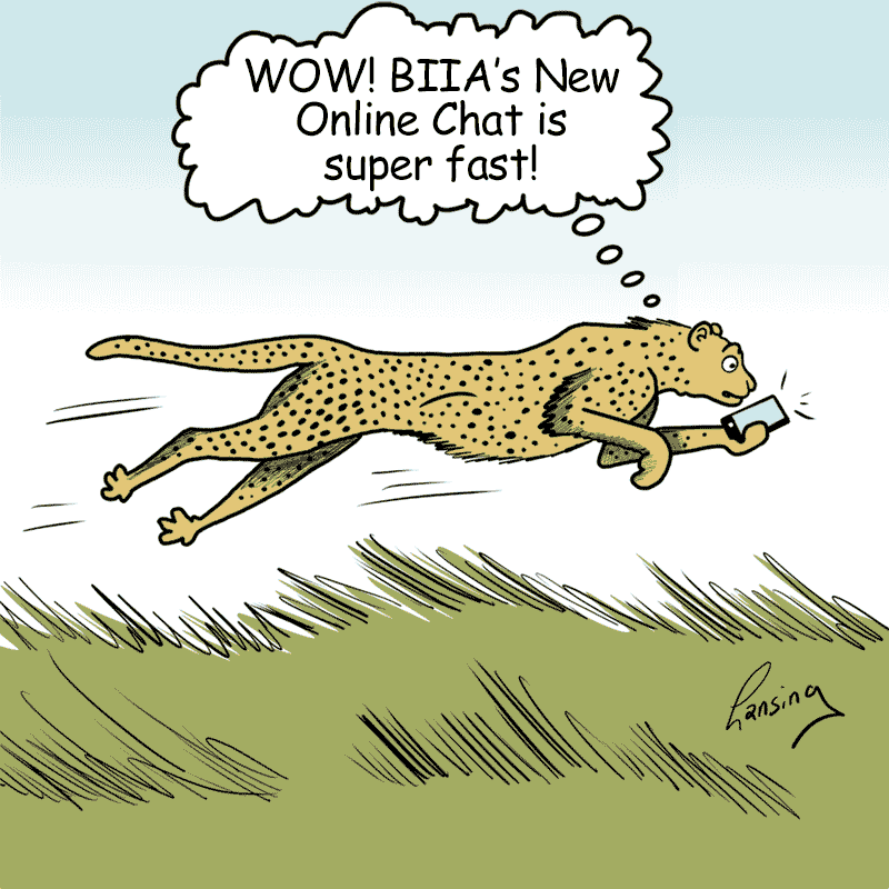 bradcast email cartoons